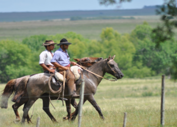 El saludo en el camino. Señal de la gran familia humana