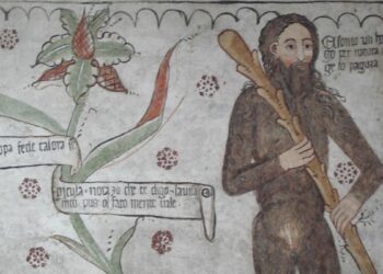 L'«homo selvadego» della Valtellina