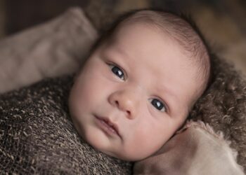 Zahl der Abtreibungen in Deutschland nimmt ab