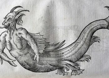 Ulisse Aldrovandi(1522-1605), mostro marino da "Monstrorum historia", Tebaldini, Bologna 1642