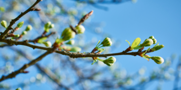 «Сбережение народа России – наш высший интерес»