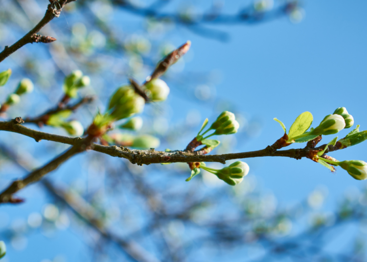 «Сбережение народа России – наш высший интерес»