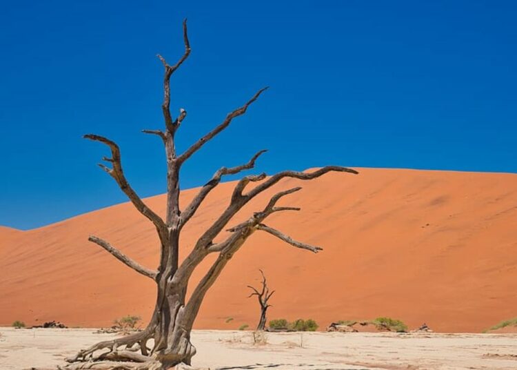 Deserto