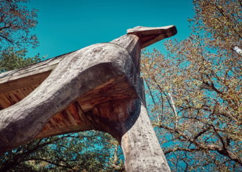 Das trojanische Pferd der Weltlage und die alte und neue Ordnung