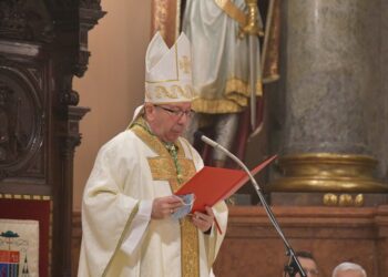 СУБОТИЧКИ БИСКУП ПОДРЖАО СТАВ СИНОДА СПЦ