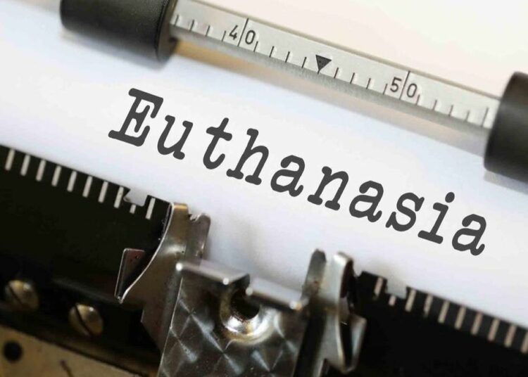 Image de la galerie Blue Diamond