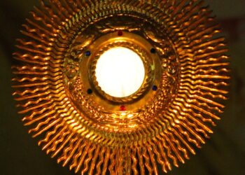 Left-Wing and weak-willed: problems at the USCCB