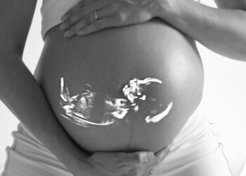 Leopoldina fordert Freigabe der Embryonenforschung