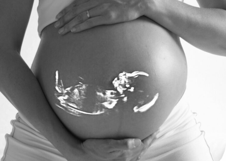 Leopoldina fordert Freigabe der Embryonenforschung