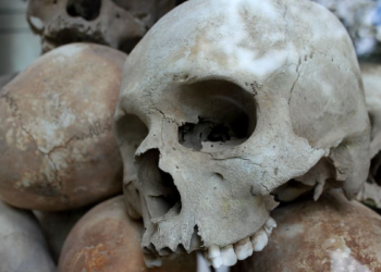 Profecía de S. Mateo para nuestros tiempos