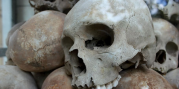 Profecía de S. Mateo para nuestros tiempos