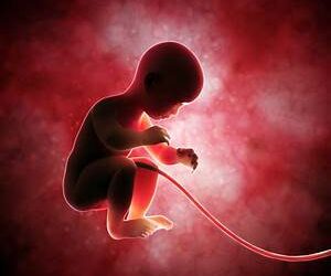 University is hub for atrocities committed on the unborn