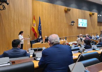 V Foro #StopSuicidioDemografico: Las familias con hijos son las células que regeneran, rejuvenecen y nos hacen crecer para crear futuro