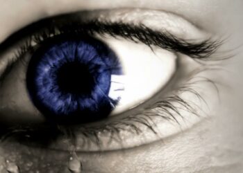 Image from SnappyGoat