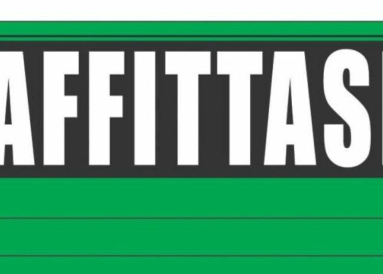 affittasi