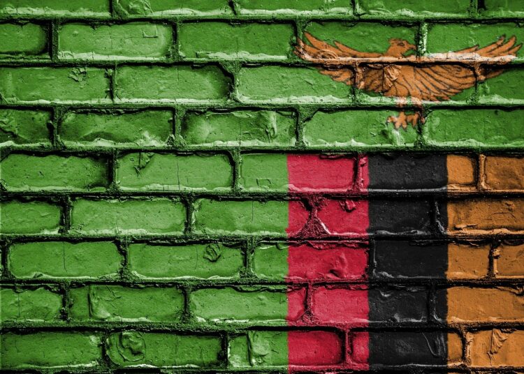 Bandiera dello Zambia