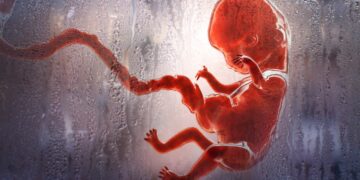 Frauen in der Europäischen Union bekommen endlich das „Recht“, ihre Kinder zu töten