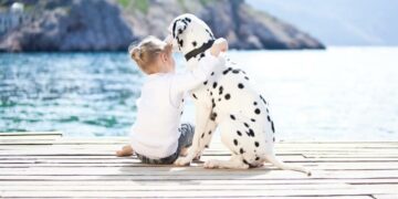 Кто важнее – животные или дети?