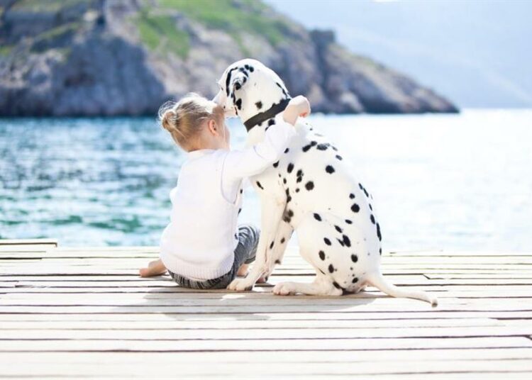 Кто важнее – животные или дети?