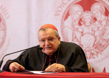 Was der Monat des kostbaren Blutes mit dem Lebensschutz zu tun hat