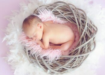 ПОРОДИЉАМА НАЈМАЊЕ МИНИМАЛАЦ