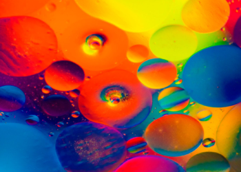 Wenceslao Vial: «Decir a los niños que nacen con una indefinición sexual, que escojan su sexo, es criminal» (y ii)