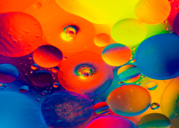 Wenceslao Vial: «Decir a los niños que nacen con una indefinición sexual, que escojan su sexo, es criminal» (y ii)