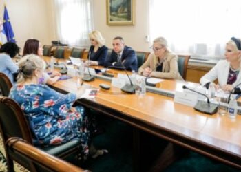 ЗОРАНА МИХАЈЛОВИЋ: ПОТРЕБНА НАМ ЈЕ ЦЕНТРАЛНА ЕВИДЕНЦИЈА СЛУЧАЈЕВА НАСИЉА У ПОРОДИЦИ