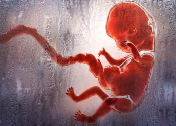 Женщины в ЕС наконец получили «право» на убийство своих детей