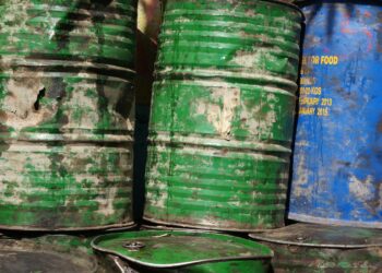 Individui come serbatoi di petrolio: l’insostenibilità etica del Green Pass