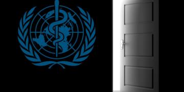 Россия может выйти из ВОЗ. И сделать это нужно.