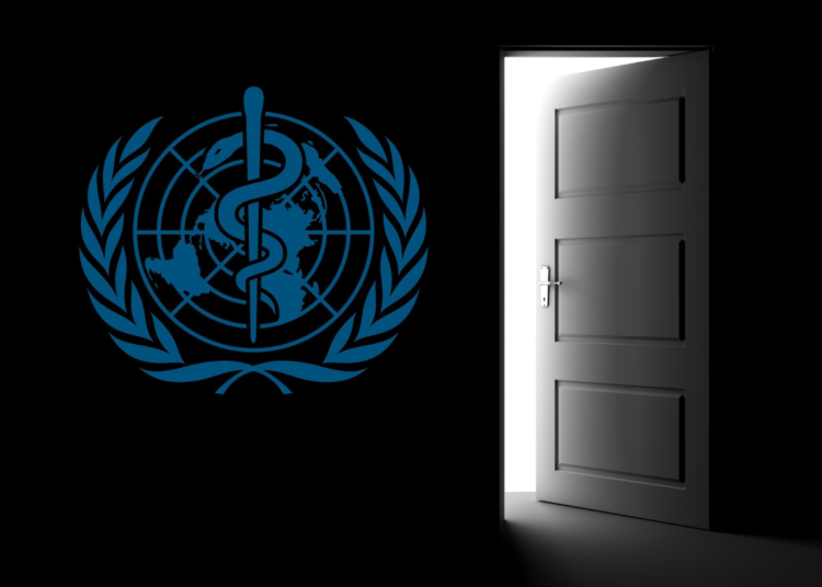 Россия может выйти из ВОЗ. И сделать это нужно.