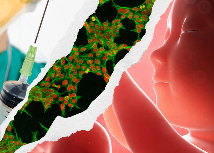 Как тела абортированных детей используются для производства вакцин и других лекарств. Часть 1