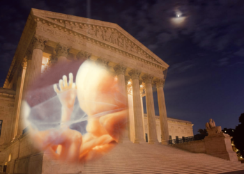The mother of all rulings: the coming end of Roe v Wade – part one