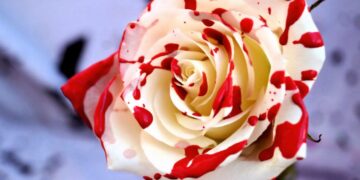 Аборты и однополые «браки»: поражения в Европе – это прелюдия к победе