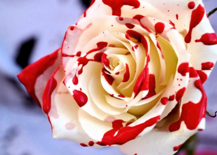 Аборты и однополые «браки»: поражения в Европе – это прелюдия к победе