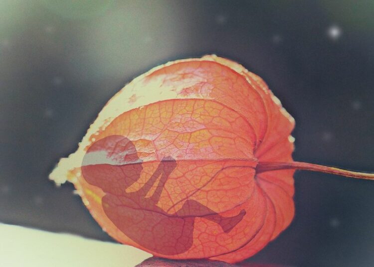 БАЈДЕН: БРАНИЋУ ПРАВО НА АБОРТУС