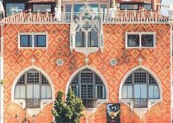 Un millón de dólares para alguien que afirma que un cerdo vale más que un bebé