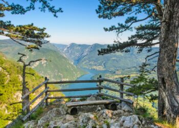 МАНИФЕСТ ПРОСВЕЋЕНОГ НАЦИОНАЛИЗМА