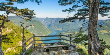 МАНИФЕСТ ПРОСВЕЋЕНОГ НАЦИОНАЛИЗМА