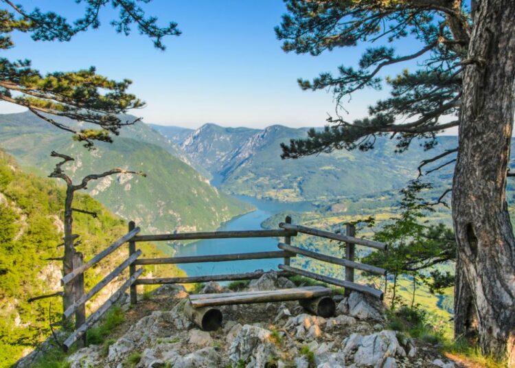 МАНИФЕСТ ПРОСВЕЋЕНОГ НАЦИОНАЛИЗМА