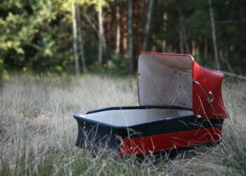 Il CoViD-19 svuota pure le culle. Ma sarà vero?