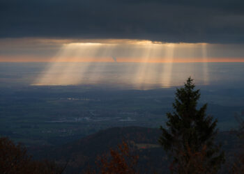Новый закон Техаса: что это значит для США?
