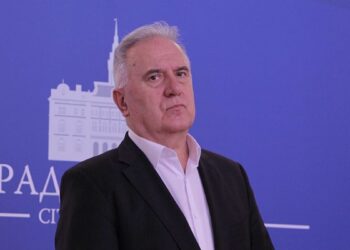 ДМИТРОВИЋ: НОВИ САД ЧИНИ МНОГО ЗА ДЕМОГРАФИЈУ, АЛИ НАМА НАЖАЛОСТ ДЕЦА ВИШЕ НИСУ НАЈВЕЋЕ БОГАТСТВО