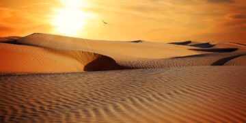 Il mistero della vita non si risolve. Si sperimenta