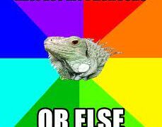 Forget about American foreign policy failures; just focus on using the correct pronouns