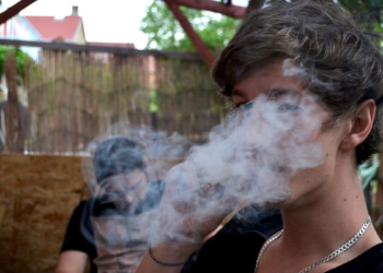 A 10 Años de la legalización del cannabis en algunos estados de EEUU, ¿Cuáles han sido los resultados?