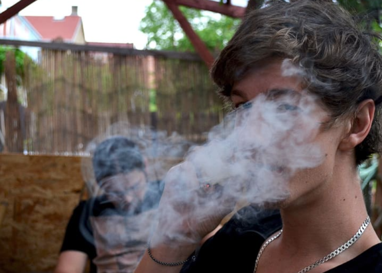 A 10 Años de la legalización del cannabis en algunos estados de EEUU, ¿Cuáles han sido los resultados?