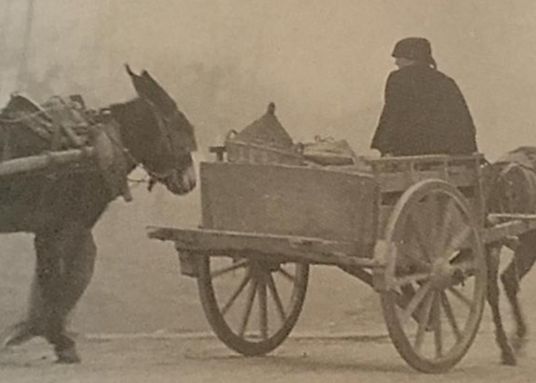 San Martino, un piccolo ristoro prima del Generale Inverno