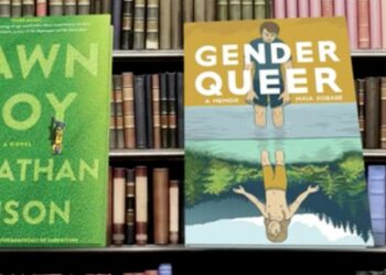 pornografia e pedofilia nelle scuole